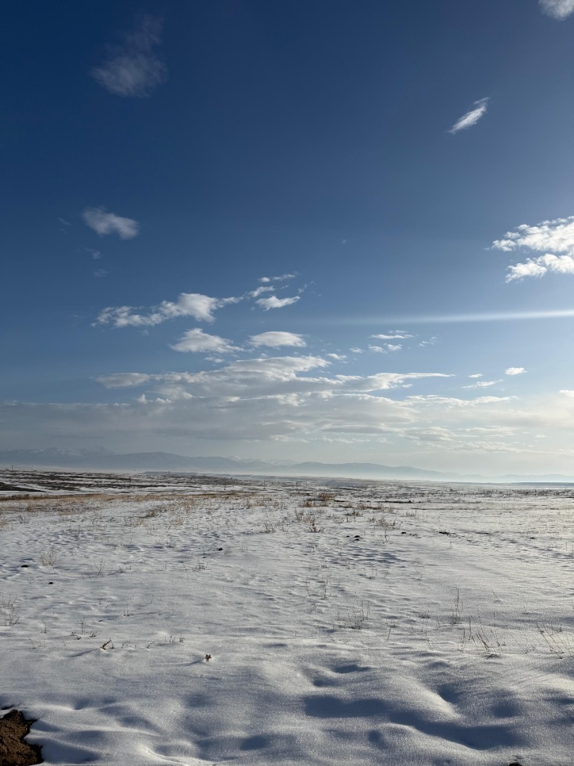 KAYSERİ DEVELİ ÇÖTEN MAHALLESİNDE SATILIK TARLA